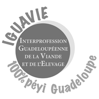 IGUAVIE